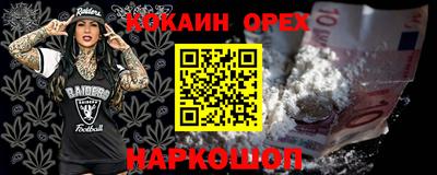 тгк Кудрово