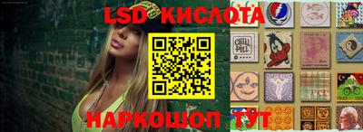 тгк Кудрово