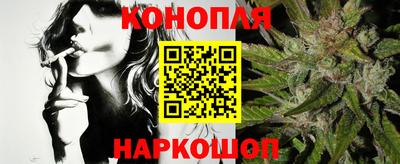 сатива Кузнецк