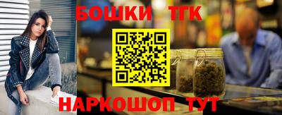 сатива Кузнецк