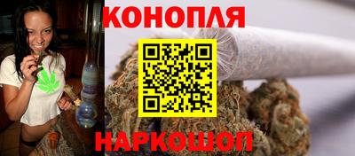 сатива Кузнецк