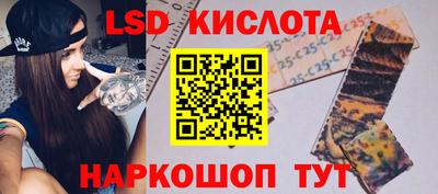 тгк Кудрово