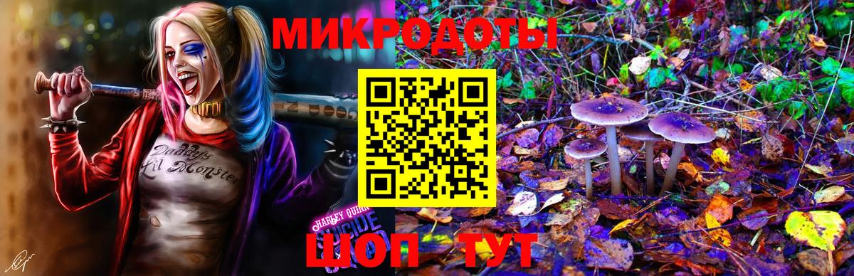где купить   Вход с VPN  Псилоцибиновые грибы мицелий  Москва  Псилоцибиновые грибы Psilocybe 